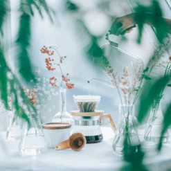 V60 Olive Wood Glass Dripper -Hario Europe 000TAR 8050web