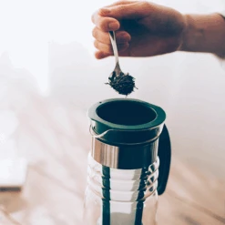 Mizudashi Cold Brew Tea Pot -Hario Europe 20200402 TAR 3670web