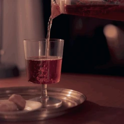 [Simply HARIO Series] Glass Tea Maker -Hario Europe DSC9815web