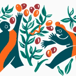 V60 Artist Edition - Maren Bruin 9 V60 Artist Edition - Maren Bruin -Hario Europe MBdesignweb