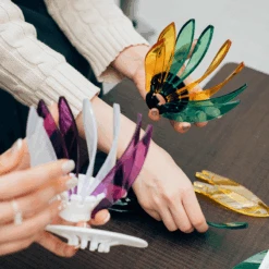 V60 Suiren Dripper Ring Set 14 V60 Suiren Dripper Ring Set -Hario Europe RIB 6 web04 1e7dcf0a 7b21 42a5 8406 b605ee093527